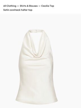 Aritzia Satin Backless Cowlneck Halter Top in Ivory